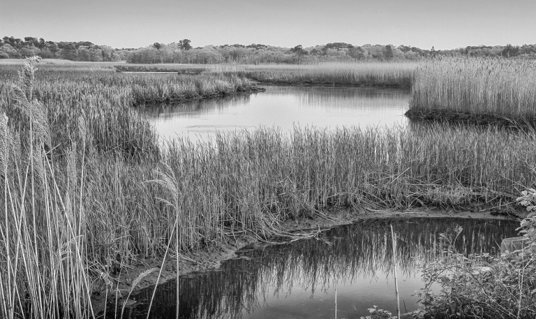 Bell's Neck, Harwich
